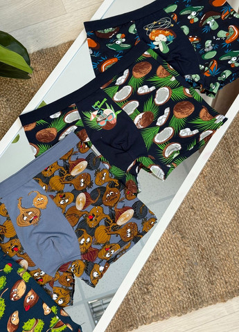 Хлопковые боксеры коллекции «Чилл» VIDCHUY (370432931)