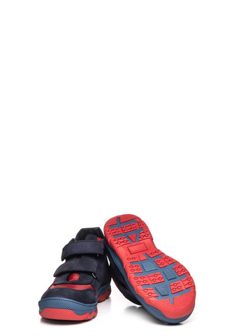 Темно-синие осенние ботинки Theo Leo