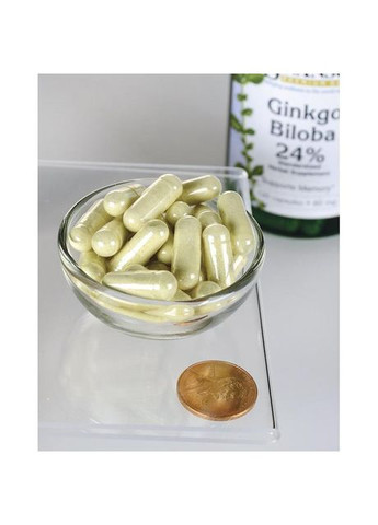 Гінкго Білоба екстрат, Ginkgo Biloba Extract,, 60 мг, 120 капсул Swanson (364311195)