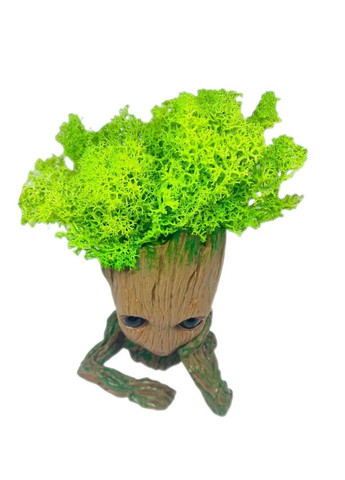 Кашпо горщик зі стабілізованим мохом Грут Groot G1 No Brand (331639554)