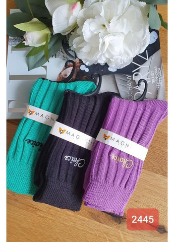 Зелёные женские носки MAGNETIS однотонные (353828008)