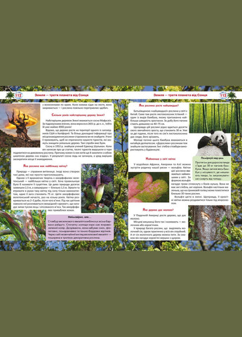 Книга Большая книга почемучки 8638 (9789669368638) shop (9789669368638) Crystal Book (365618806)