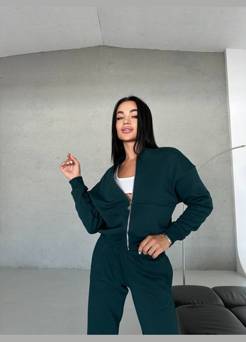 Женский качественный спортивный теплый костюм: кофта бомбер на молнии и брюки джогеры с утеплением No Brand (316094556)