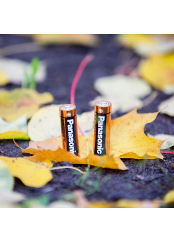 Батарейка LR06 Alkaline Power*2 (m504778) Panasonic LR06 Alkaline Power * 2 (369018826)