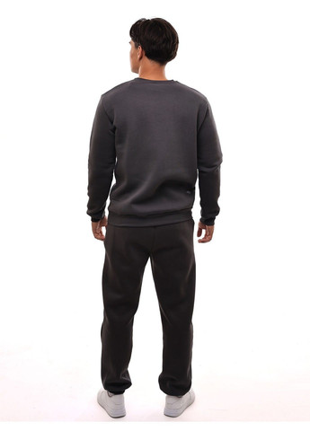 Темно-серый свитшот мужской (363554024)