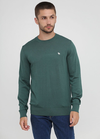 Зеленый демисезонный свитер мужской - свитер af8116m Abercrombie & Fitch