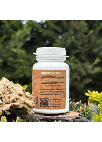 Майтаке, пігулки 120 шт по 0.4 г Лісовик (334711238)