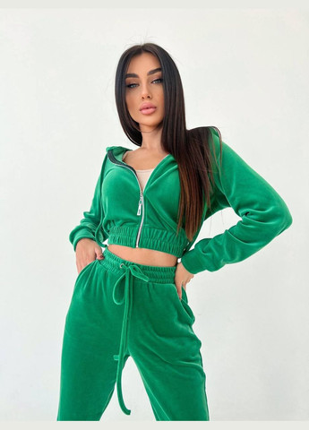 Крутой плюшевый костюм двойка на все сезоны, приятный к телу велюровый костюм 2-ка цвета - трава из мягенькой ткани No Brand 590-1 (301842326)