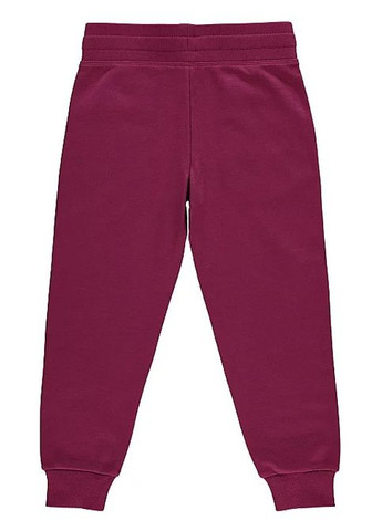 Темно-розовые спортивные демисезонные брюки George