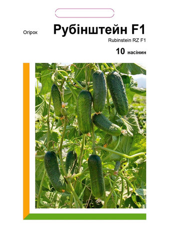 Семена огурца Рубинштейн F1 Bejo (333035932)