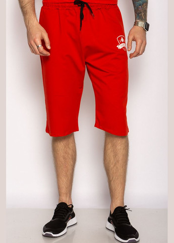 Бриджи Premium (Красный) Time of Style (313101592)