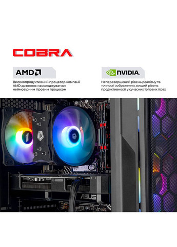 Комп'ютер Advanced (A55.32.H1S2.56T16.22387W) Cobra (368901794)