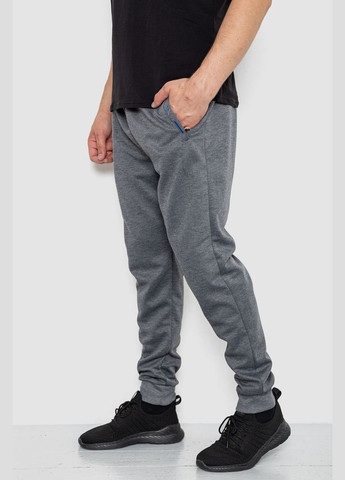 Серые спортивные, кэжуал демисезонные брюки Ager