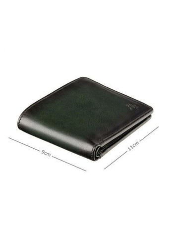 Кошелек мужской кожаный зеленый AT60_green Visconti (337669903)