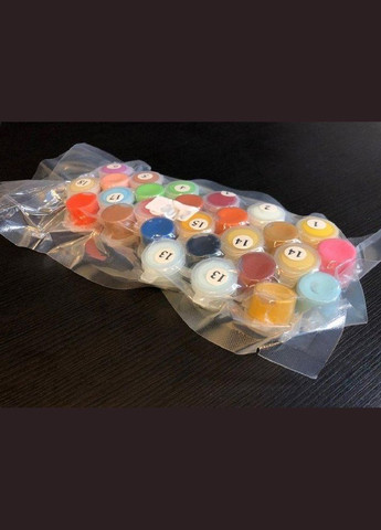 Картина за номерами Театр опери та балету (з лаком та рівнем) 40х50 см SY6552 ( ) Strateg (328944013)