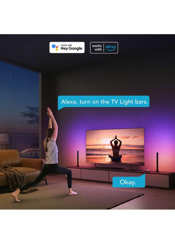 Набор подсветки H6046 Flow Plus Light Bars RGBIC Black (H6046311) Govee (322936008)