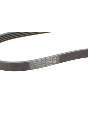 Ремень поликлиновой (Пр-во ) 5PK1150 ContiTech (366206735)