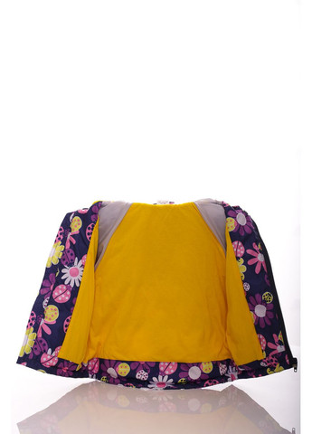 Синя демісезонна куртка нуль для дівчинки на холлофайбері з принтом сонечко синій 74 см (45049) BABYKROHA