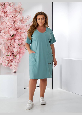 Фісташкова повсякденний, кежуал жіноча сукня Style Point однотонна