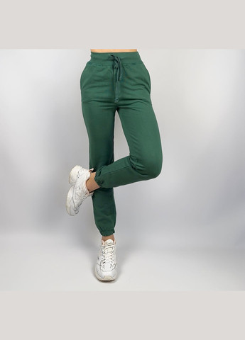 Спортивные штаны Зеленые BTG-0064 BSL (289748909)