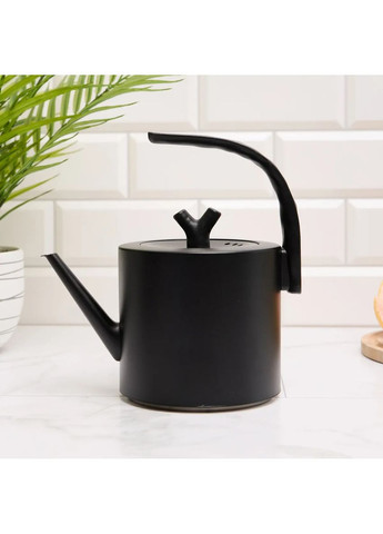 Кавовий чайник із вузьким носиком для пуровер для заварювання кави та чаю стильний корпус із нержавіючої сталі No Brand (360867197)