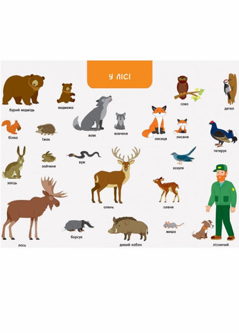 Книжка-картонка Ура, мы заговорили! Кто и где? 2-4 года ДШ12902У 9786170946454 РАНОК (303057463)