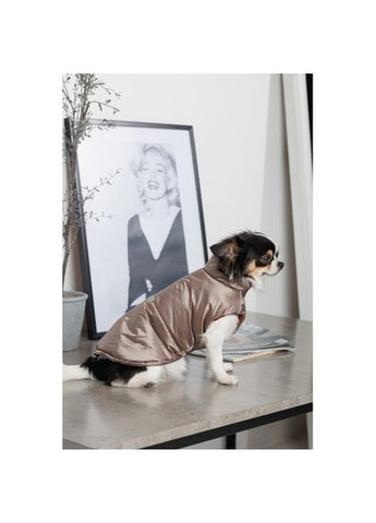 Жилет Hardy для собак размер Pet Fashion (333141067)