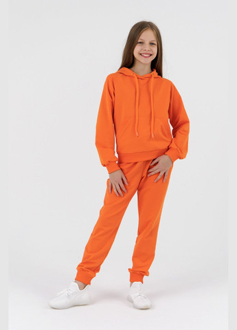 Костюм худі+штани дитячий DM2401 116 см (2000990557902D) shop (2000990557902) Dinomin (361499519)