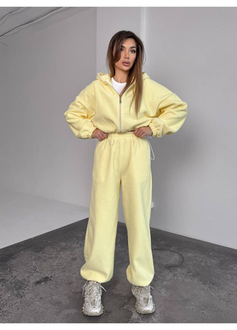 Теплий жіночий костюм із двостороннього полар-флісу No Brand (372418643)