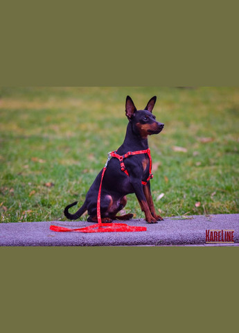 Повідець з нейлону з візерунком "HEARTS" 15 мм 1200 мм Kareline (339075007)