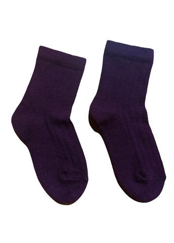 Шкарпетки довгі для хлопчика BDO44365-2 фіолетовий H&M (263428480)