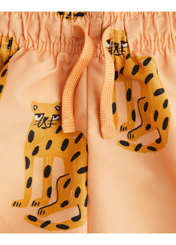 Шорты для плавания мальчику, H&M (361829879)