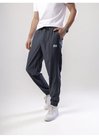 Серые повседневный демисезонные брюки Freedom