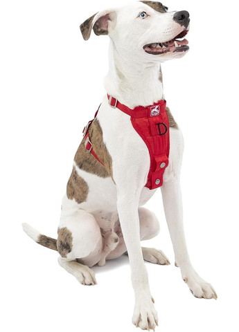 Универсальная автомобильная шлея для собак TruFit Smart Dog Car Harness M (813146014059) Kurgo (288576607)