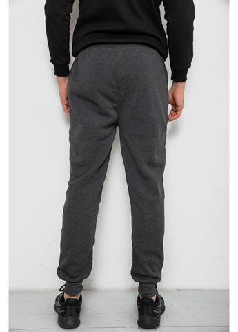 Серые спортивные демисезонные брюки Ager