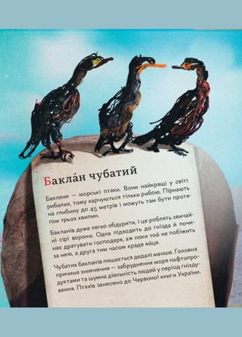 ПтахАбетка. Українські пернаті. Панаріна Ірена РАНОК (349839494)