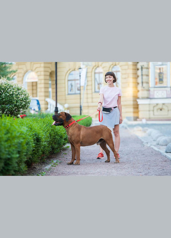 Поводок для собак водостойкий Waterproof, M, Ш 20 мм, Дл 183 см красный WAUDOG (322125146)