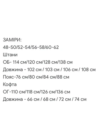 Женский велюровый спортивный костюм FINO Mode (388920803)