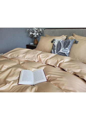 Постельное белье (169), сатин PREMIUM Двухспальный размер, наволочки 70/70 No Brand (364219410)