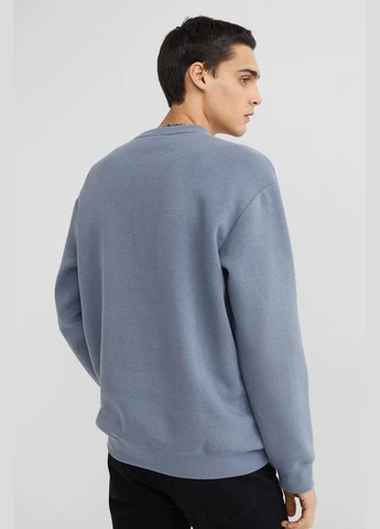 Серый свитшот флис,серо-голубой, H&M (255170643)