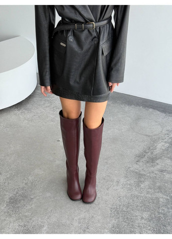 Демісезонні ботфорти Helen (369982146)