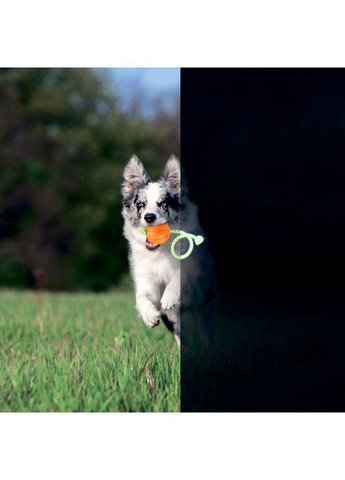 М'ячик ЛАЙКЕР7 Люмі на шнурі (діаметр 7см) Collar (363058105)