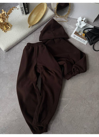 Жіночий зимовий костюм худі та джогери з флісу Polar Nositi 1842-13 (365701116)