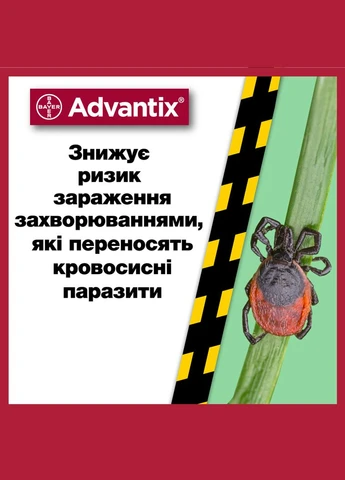 Краплі від заражень екто паразитами для собак Адвантикс 4-10 кг 4 піпетки (4007221020394/4007221047230) Bayer (314836757)