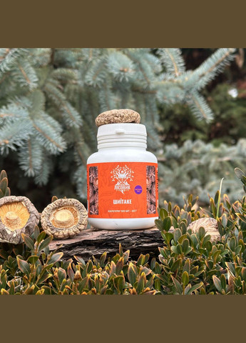 Шиитаке, экстракт 10:1, капсулы 120 шт по 0.5 г Лісовик (334292875)