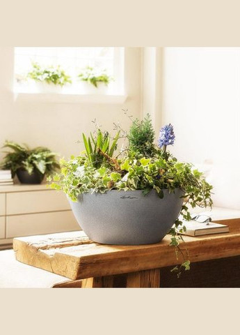 Розумний вазон Cubeto Color 30 4,5 л сірий 13830 Lechuza (316612589)