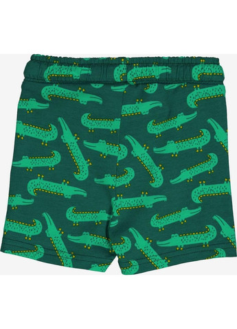 Детские шорты для мальчика Зеленые (251112136) Green Cotton (370372489)