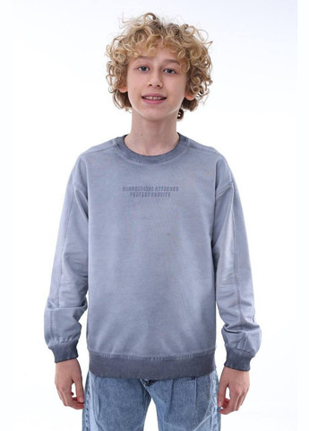 Серый свитшот тренд варить хлоп. 10066 Leyz (317208295)