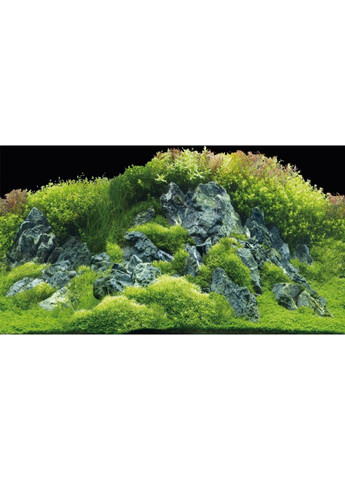 Фон для акваріума Planted River/Green Rocks 60x30см Hobby (321970029)