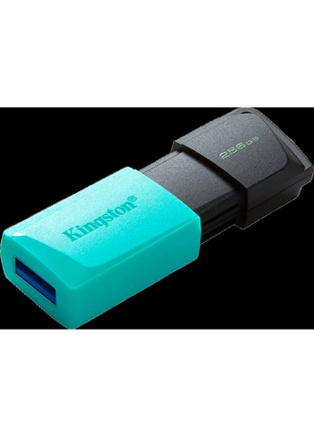 USB флешка DT Exodia M 256GB 3.2 Kingston (360416334)